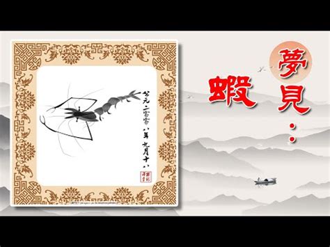 夢見蝦子號碼|夢見蝦子代表什麼號碼